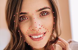 门徒平台人脸关键点标注